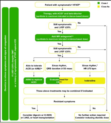 lv chf|hfref prognosis.